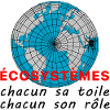 ecosystmes_chacun_sa_toile_chacun_son_role