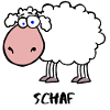 Schaf