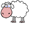 Schaf