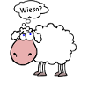 Sens mouton