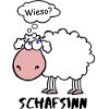 Sens mouton