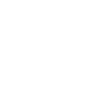 Little Brother