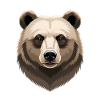 Forest Bear Head Illustration