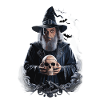 Dark Wizard with Skull Mystic Magician