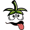 Déguisement de carnaval drôle de tomate
