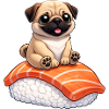 Süßer Mops mit Sushi Japanisches Essen