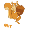 NUT TODAY Eichhörnchen Eichel