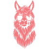 Hipster llama with sunglasses