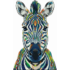 Buntes Zebra