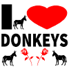donkey