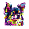 Dog Chihuahua Portrait