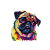 Art animalier chien carlin