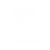 wombat