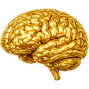 Golden Brain Design