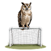 Owl on Goal Frame – Night Game