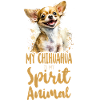 Chihuahua Chihuahueño My Chihuahua