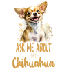 Chihuahua Chihuahueño Ask Me About