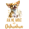 Chihuahua Chihuahueño Ask Me About