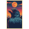 Crow sunglasses and sunset