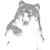 Orso grizzly escursionismo Campeggio orso bruno vintage