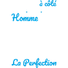 Né en 2006 – Frôler la perfection 