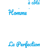 Geboren 2008 – Perfektion nahe