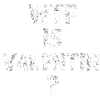 WTF Is Valentin