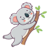 Cuddly koala on pastel branch