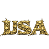 Gold Skull USA Emblem
