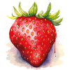 Aquarelle Fraise