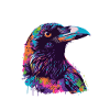 Raven Animal Bird