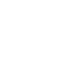 Master craftsman as a profession