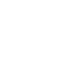 Ski King