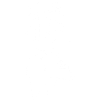 Japanese White Wolf