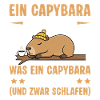 Capybara Must Sleep - Funny Office Saying