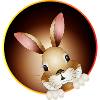 Neugieriger Hase schaut aus dem Hasenbau