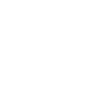 Dinosaur Raptor with Backbone Bones