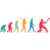 Cricket Evolution