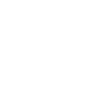 Tribal Turtle Mystical Nature and Geometry