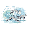 Greyhounds