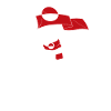 Greenland Support: Bear and Flag