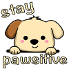 stay pawsitive