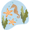 Seahorse