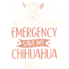 Chihuahua Chihuahueño In Case Of