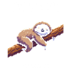 Main Quest: Take It Slow | Sloth