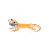 Beardo Lizard Caption Tee
