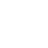 Parti