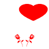 donkey