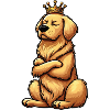 Golden Retriever Goldie Goldieowner Goldies