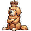 Golden Retriever Goldie Goldieowner Goldies